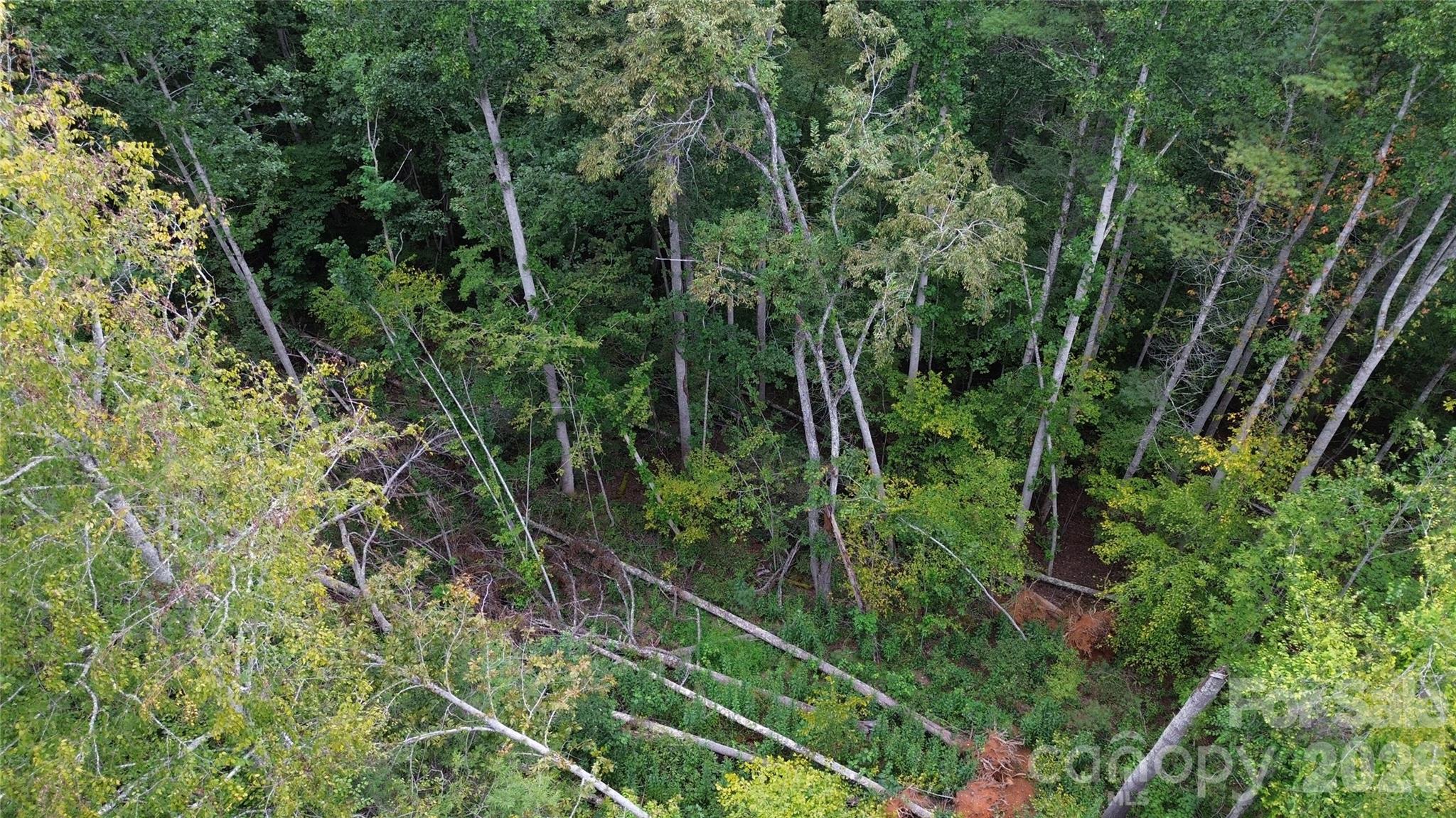 0000 High Peak Drive Burnsville NC 28740