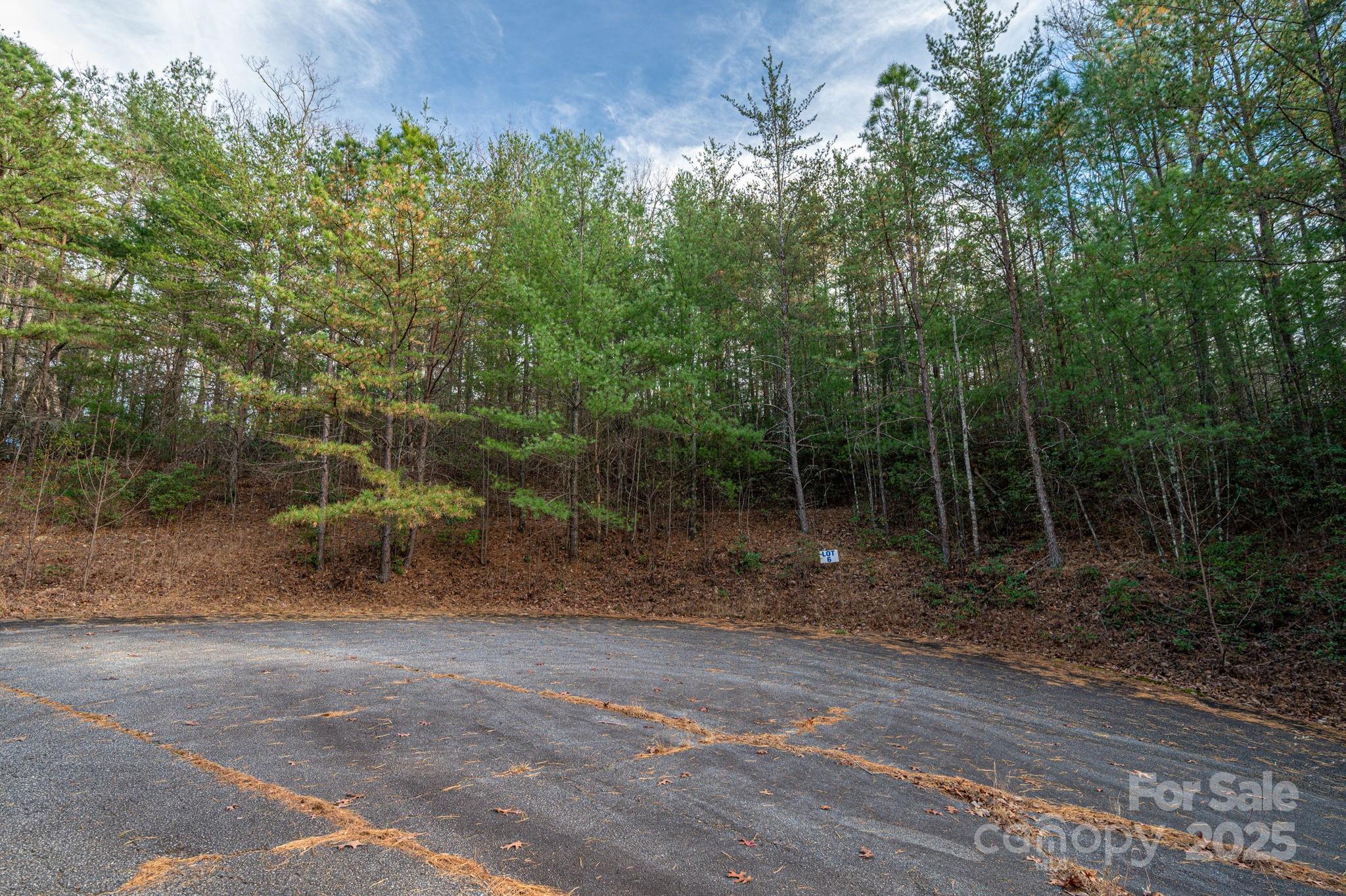 3129 Mountain Laurel Drive Lenoir NC 28645