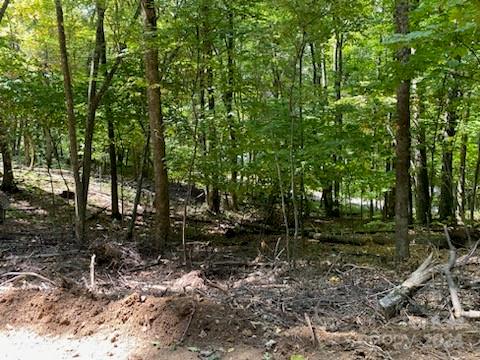 Lot G42 Odalu Trail Maggie Valley NC 28751