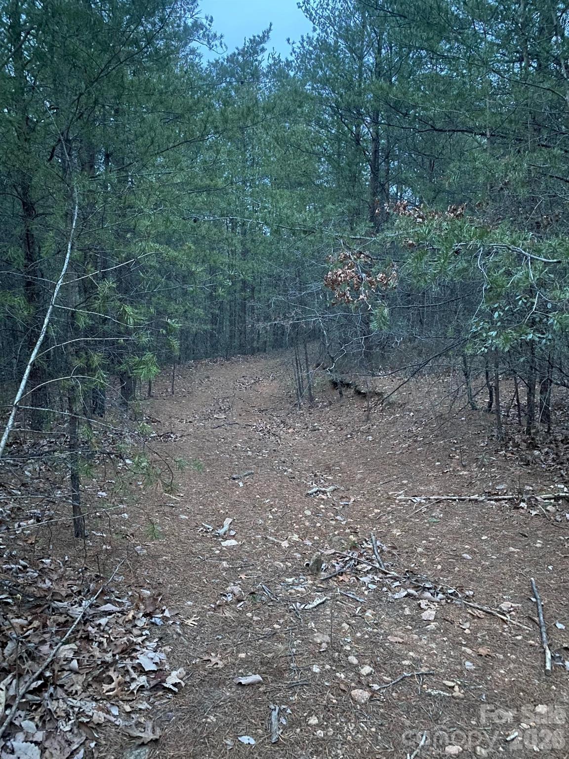 000 Froggyville Lane Mill Spring NC 28756