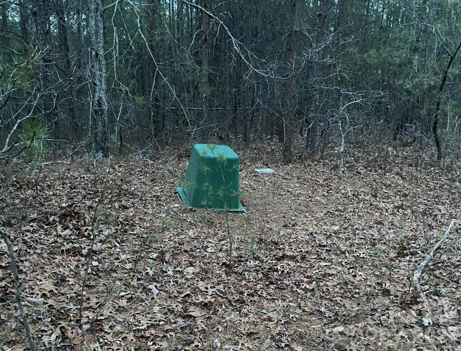 000 Froggyville Lane Mill Spring NC 28756