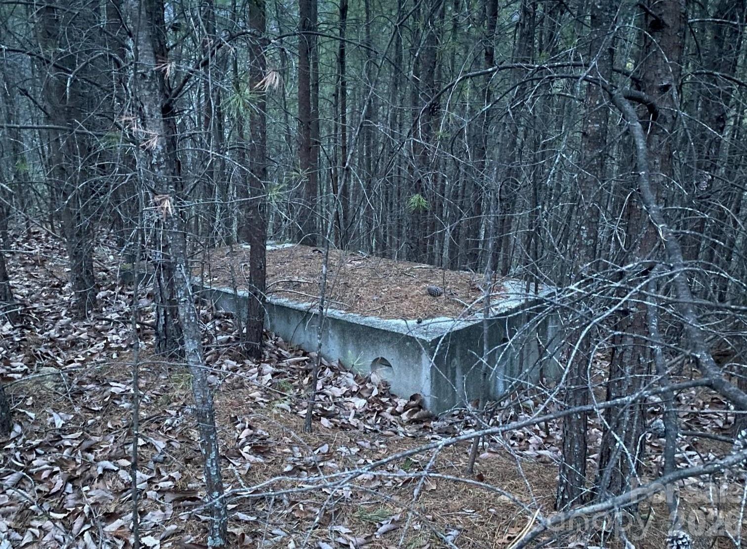 000 Froggyville Lane Mill Spring NC 28756