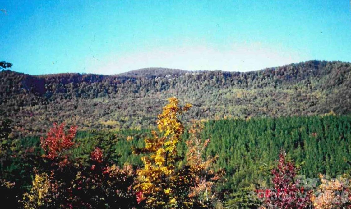 000 Froggyville Lane Mill Spring NC 28756