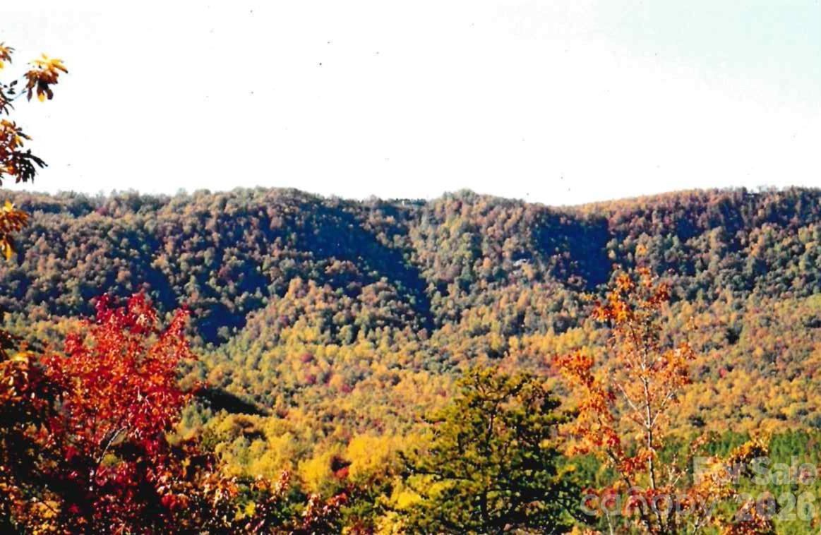 000 Froggyville Lane Mill Spring NC 28756