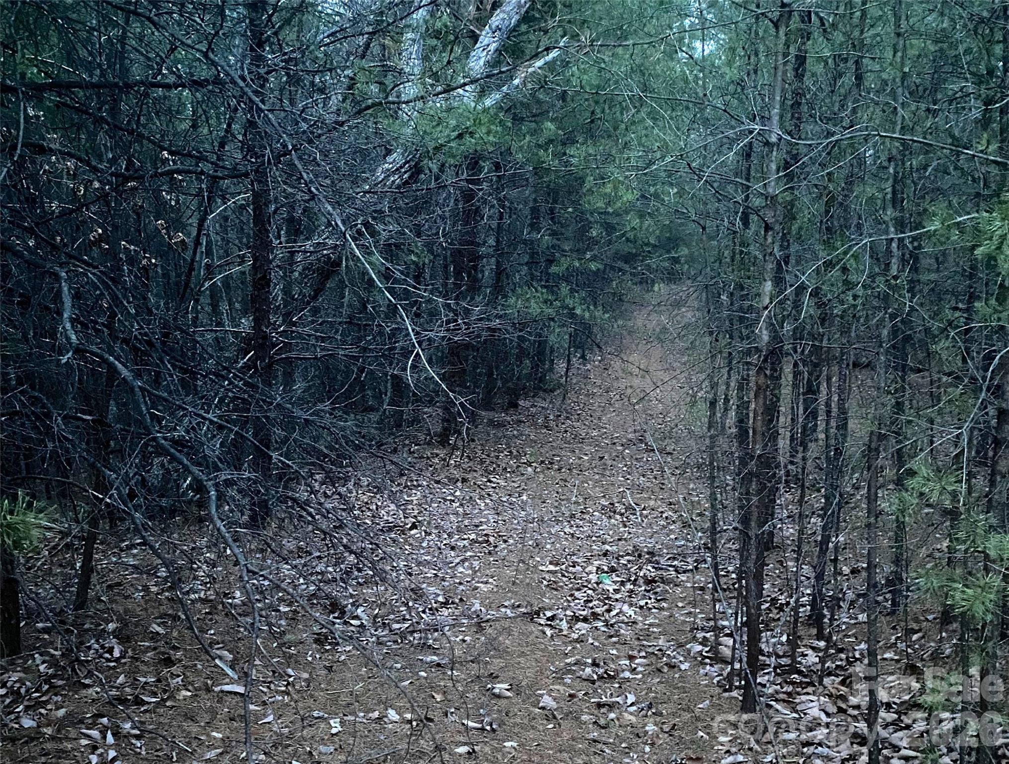 000 Froggyville Lane Mill Spring NC 28756