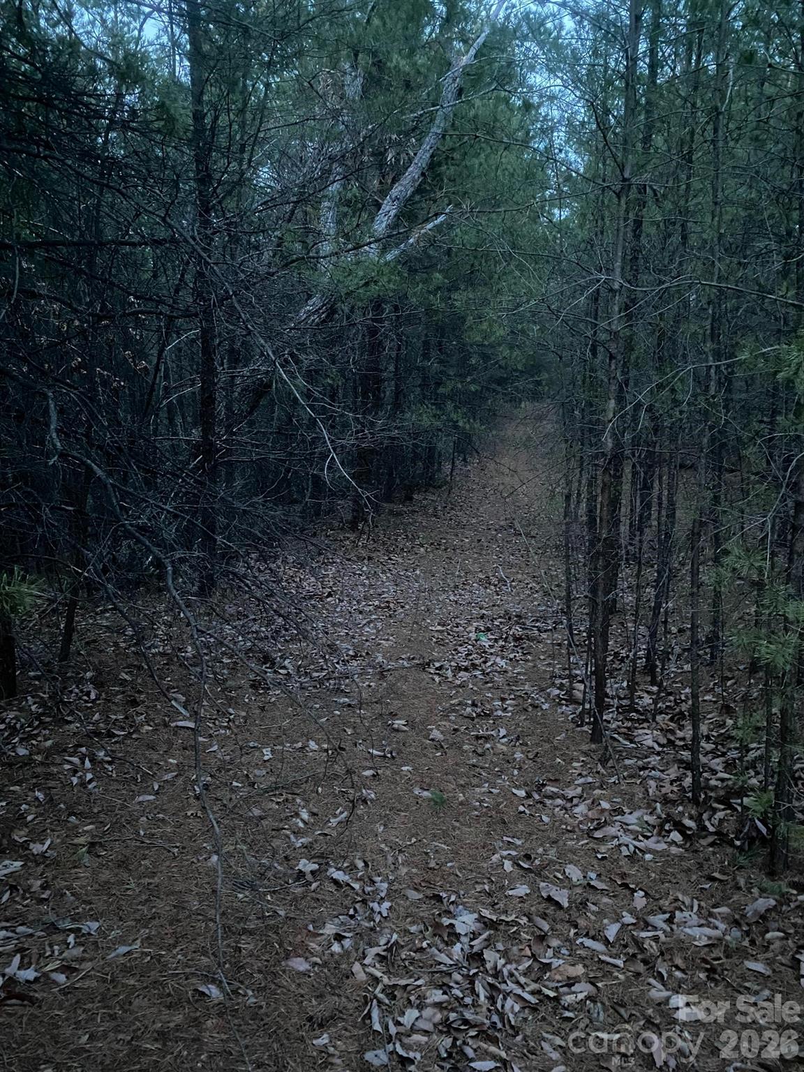 000 Froggyville Lane Mill Spring NC 28756