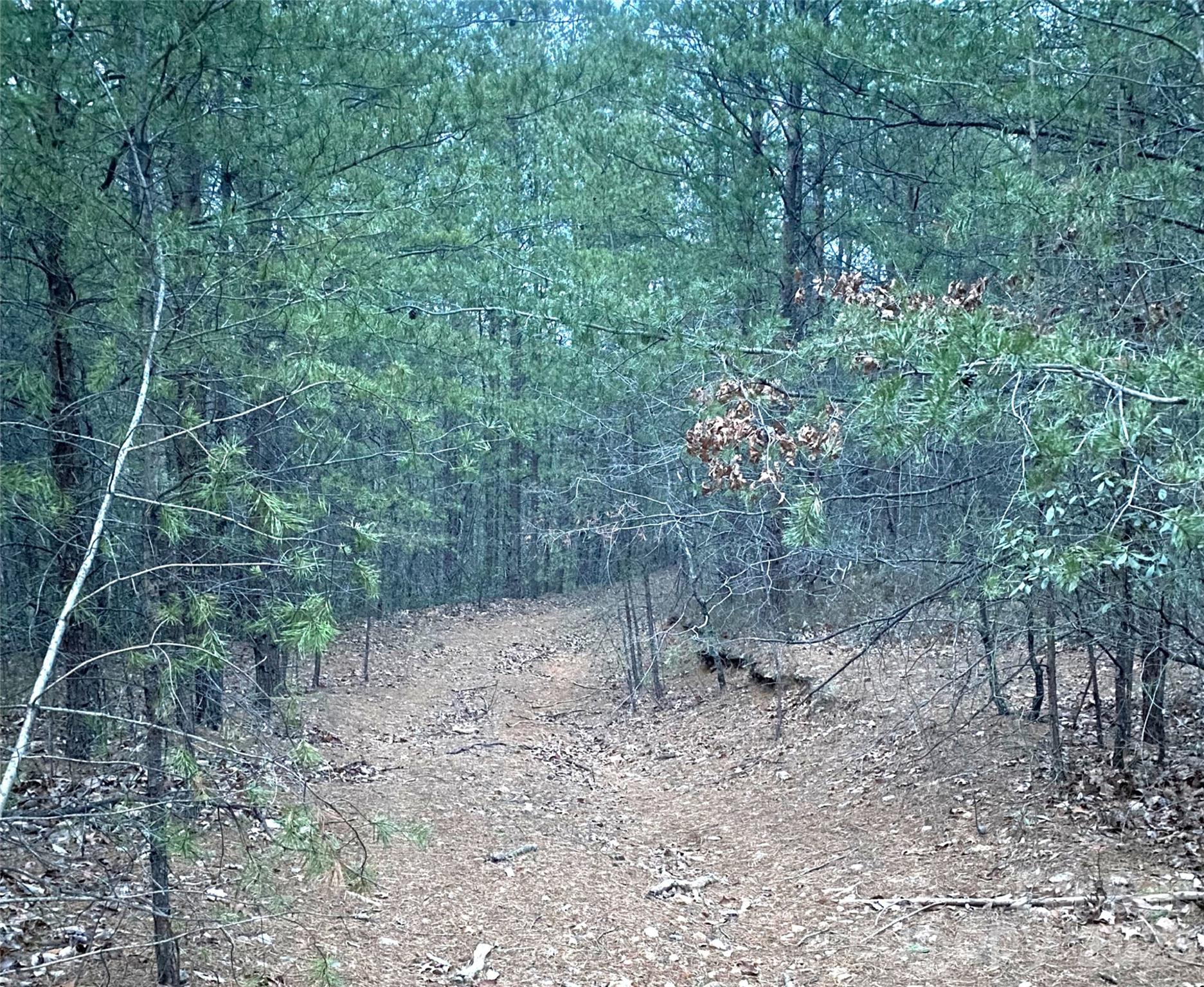 000 Froggyville Lane Mill Spring NC 28756