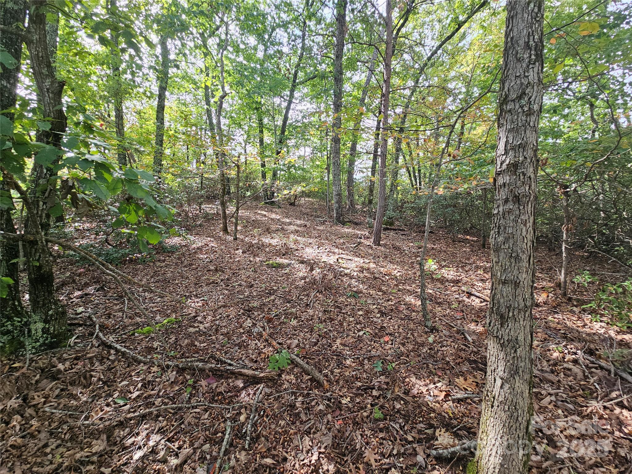 3634 Abee Farm Road Connelly Springs NC 28612
