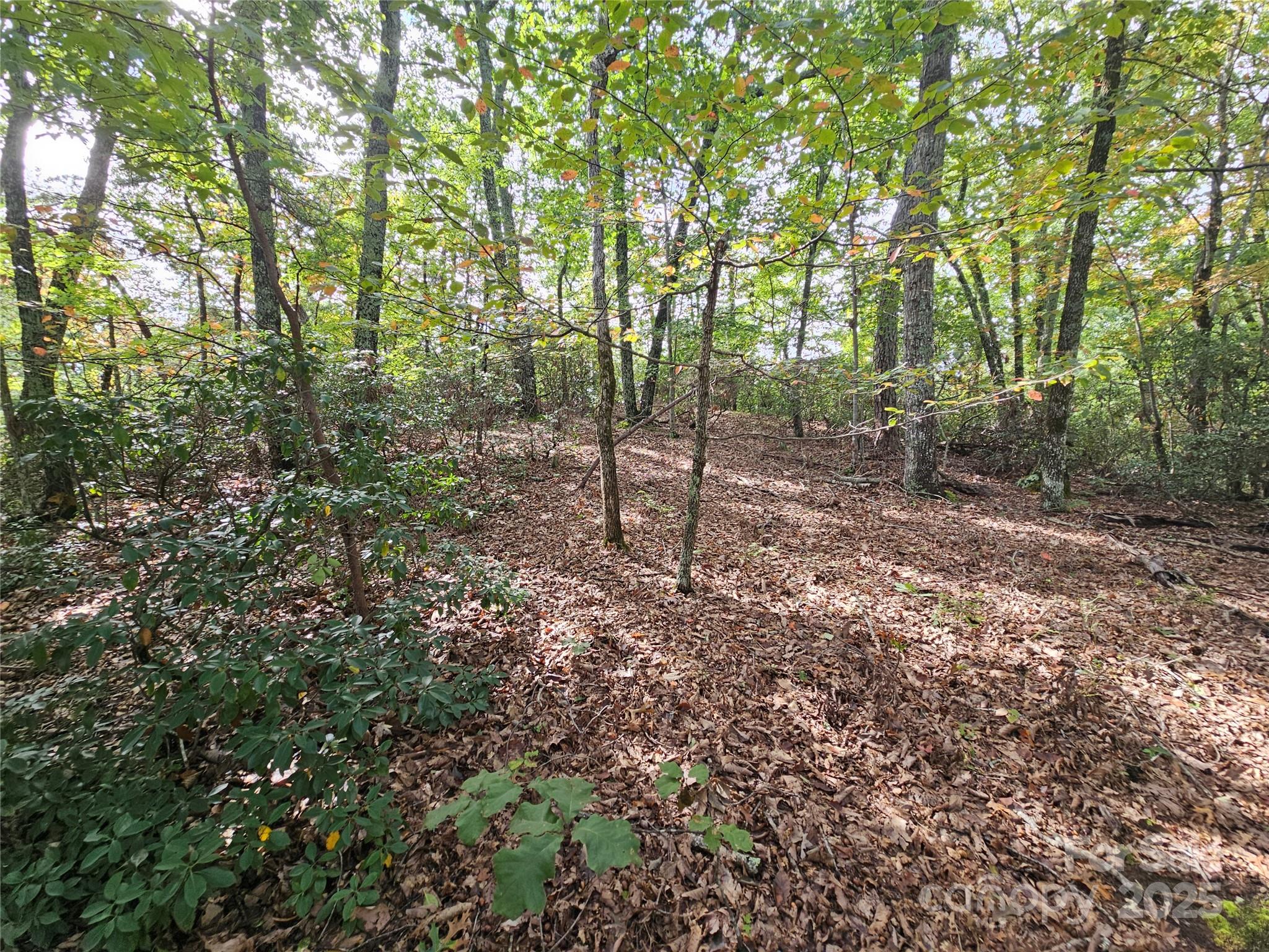 3634 Abee Farm Road Connelly Springs NC 28612