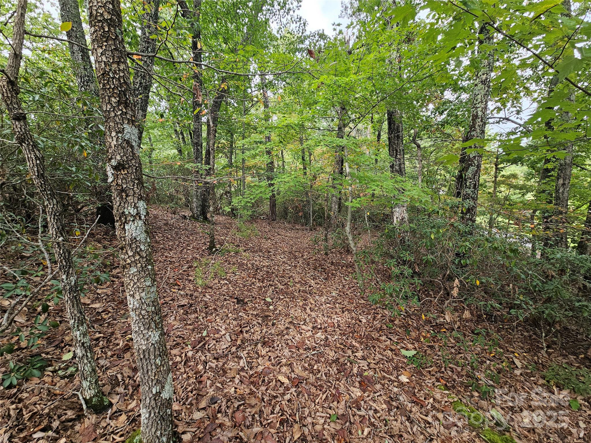 3634 Abee Farm Road Connelly Springs NC 28612