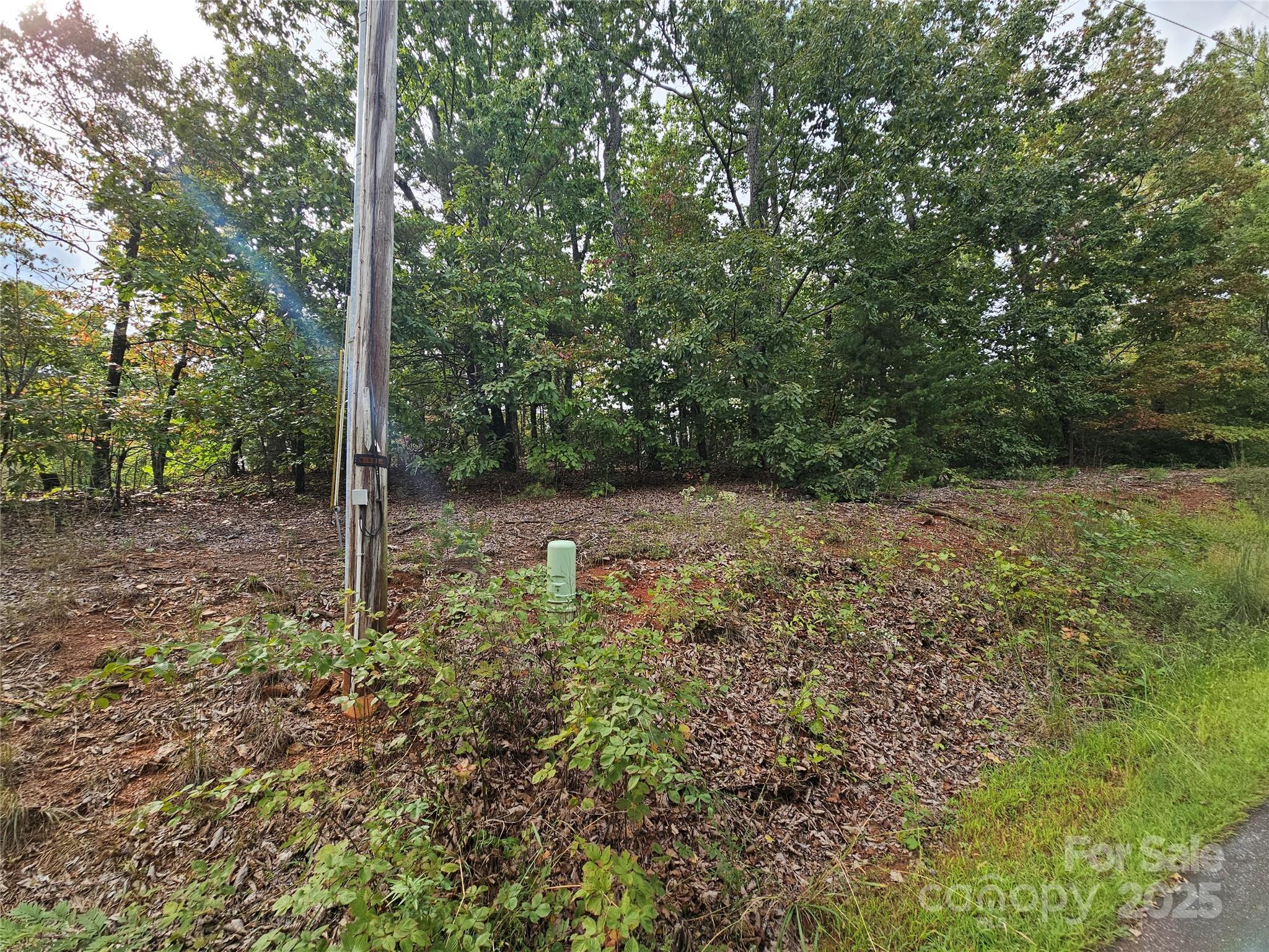 3634 Abee Farm Road Connelly Springs NC 28612