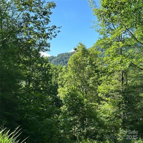 33 Nuthatch Lane Black Mountain NC 28711