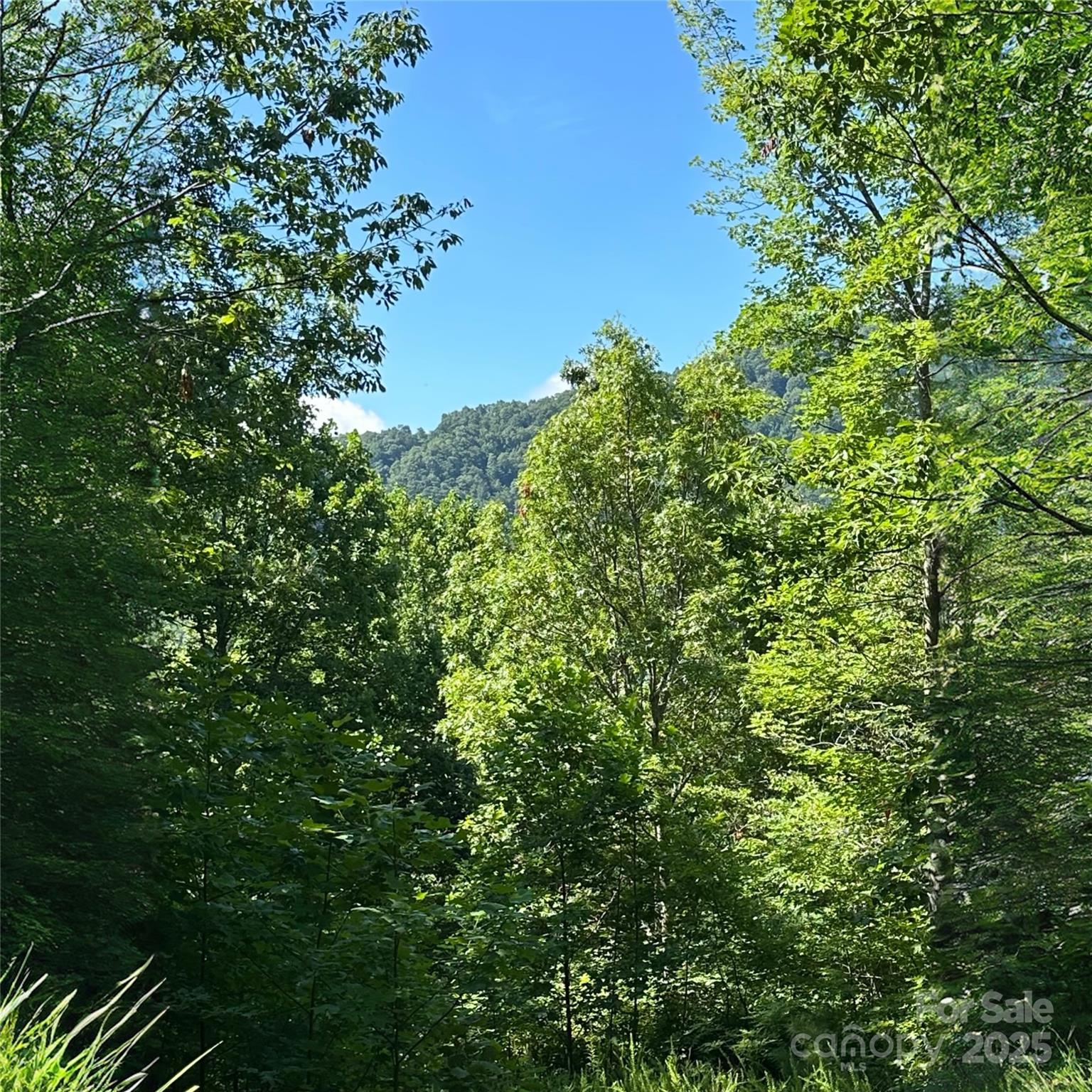 33 Nuthatch Lane Black Mountain NC 28711