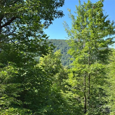 33 Nuthatch Lane Black Mountain NC 28711