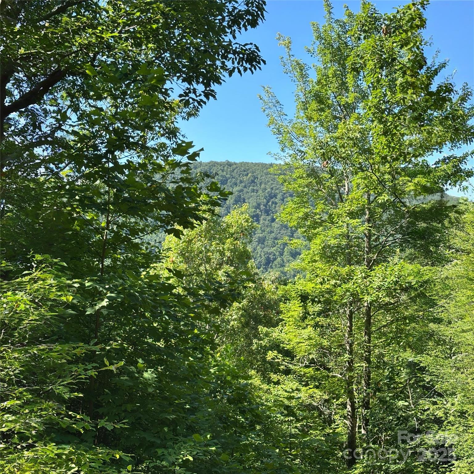 33 Nuthatch Lane Black Mountain NC 28711