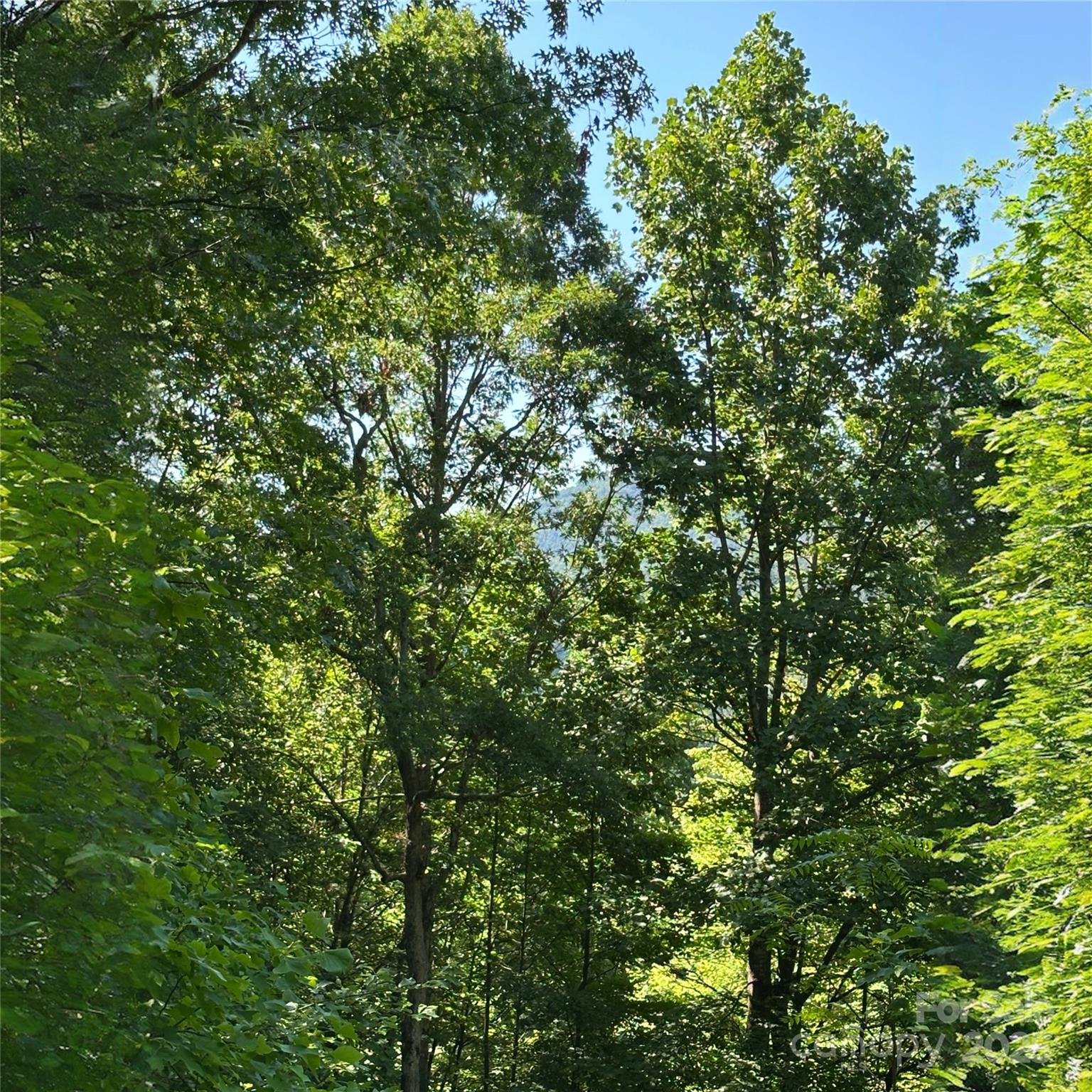 33 Nuthatch Lane Black Mountain NC 28711