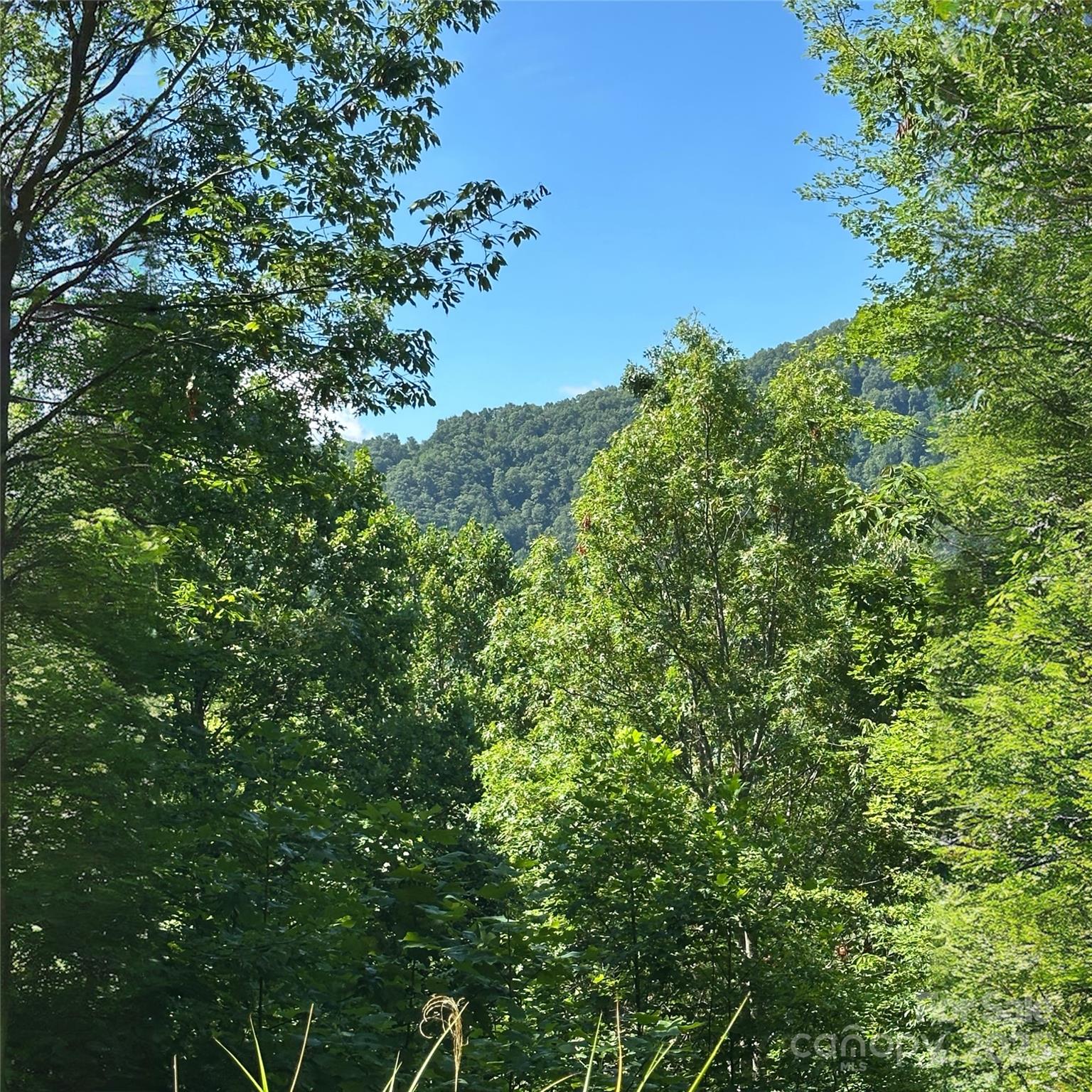 33 Nuthatch Lane Black Mountain NC 28711