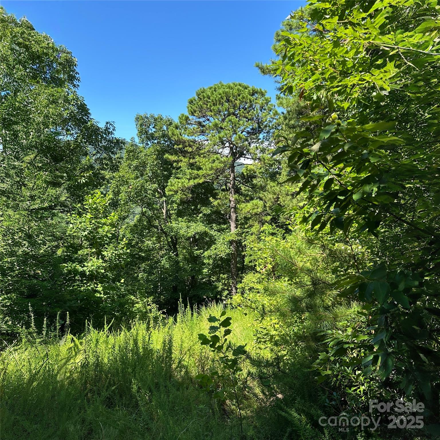 33 Nuthatch Lane Black Mountain NC 28711