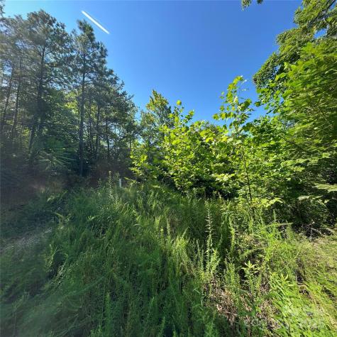 33 Nuthatch Lane Black Mountain NC 28711