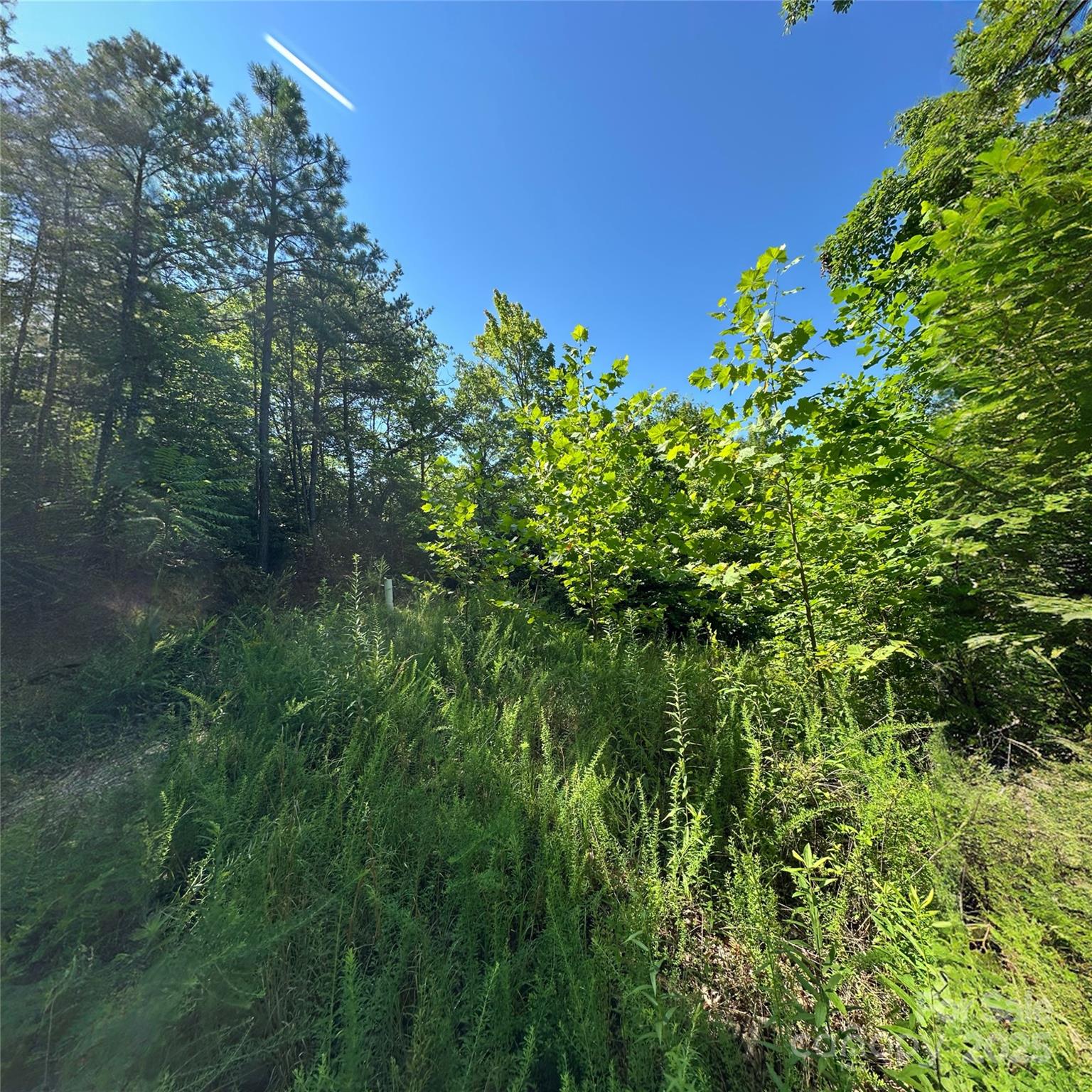 33 Nuthatch Lane Black Mountain NC 28711
