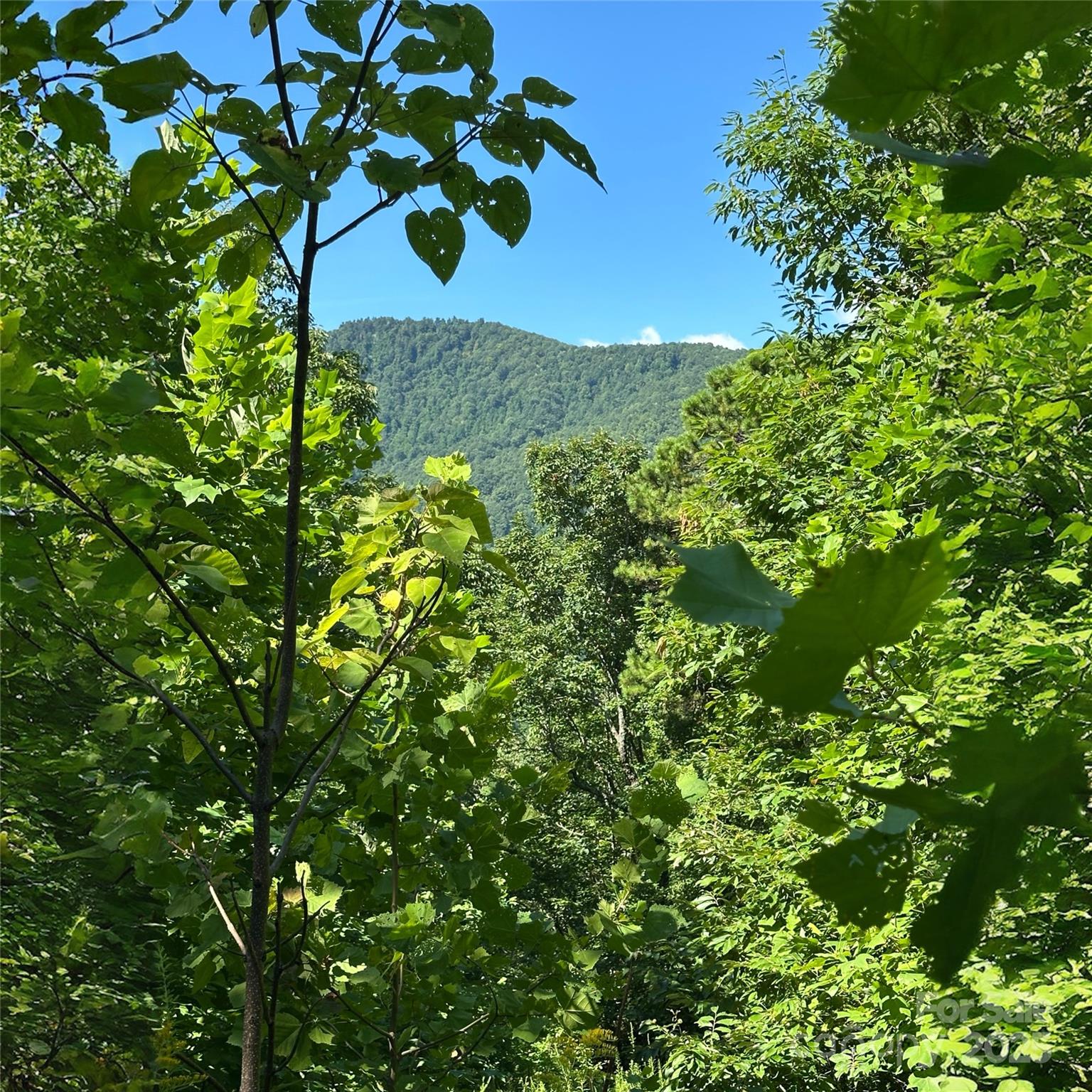 33 Nuthatch Lane Black Mountain NC 28711