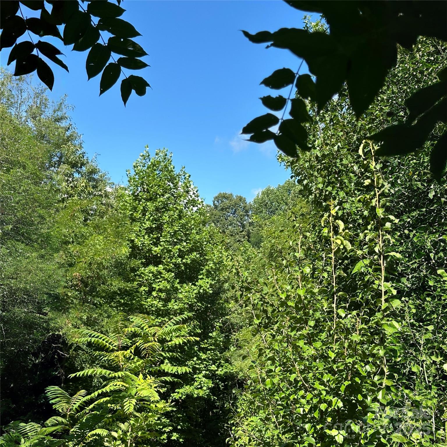 33 Nuthatch Lane Black Mountain NC 28711
