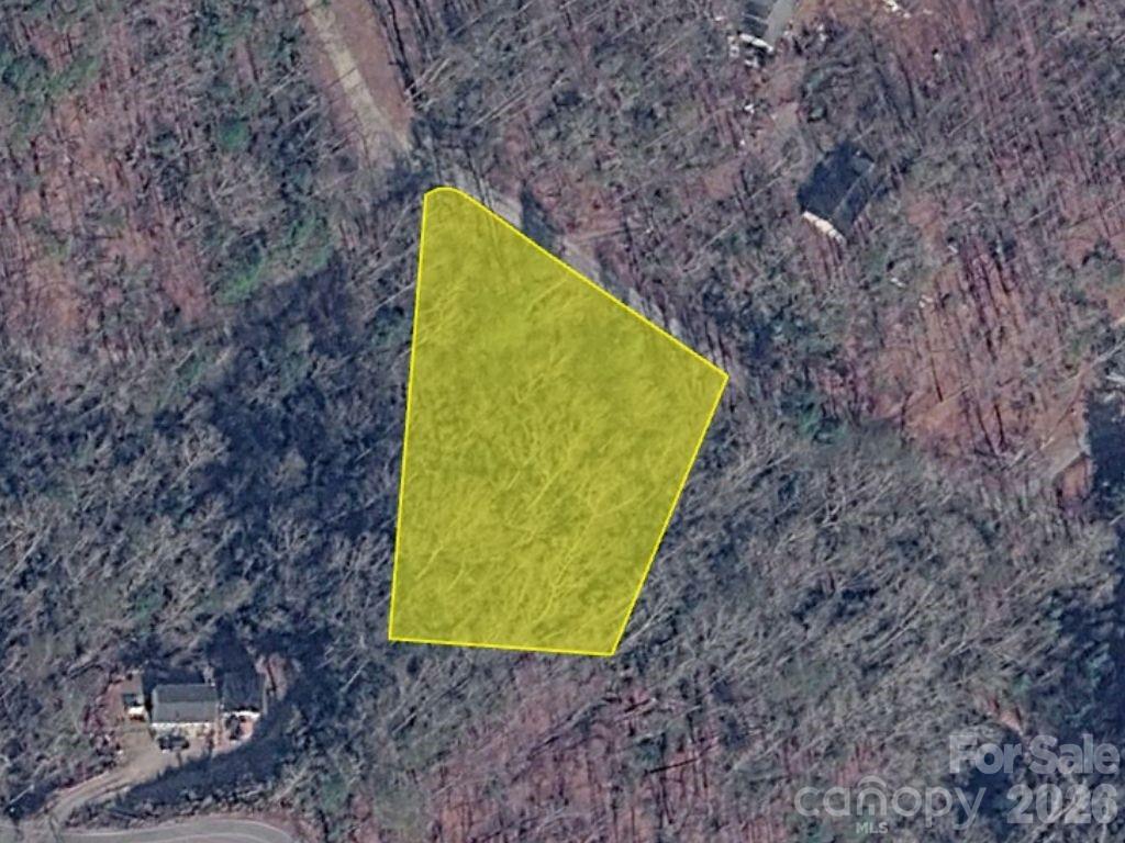 0 Bishop Lane Mill Spring NC 28756