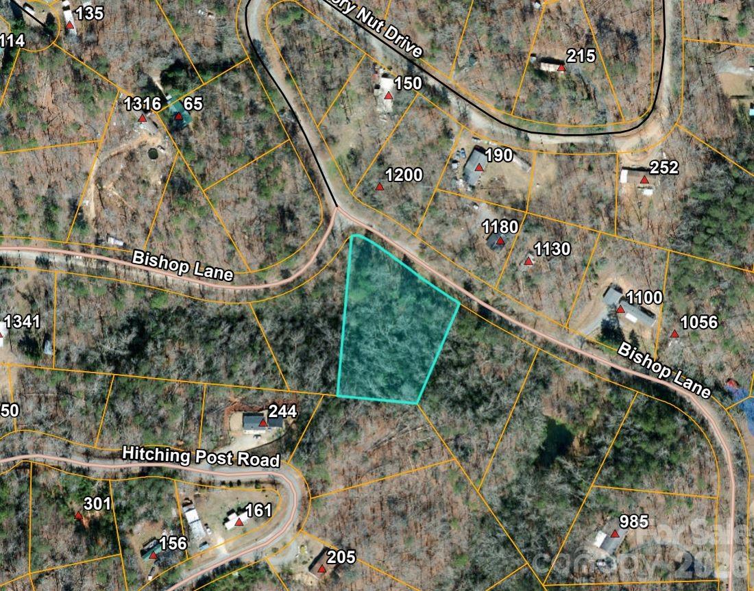 0 Bishop Lane Mill Spring NC 28756