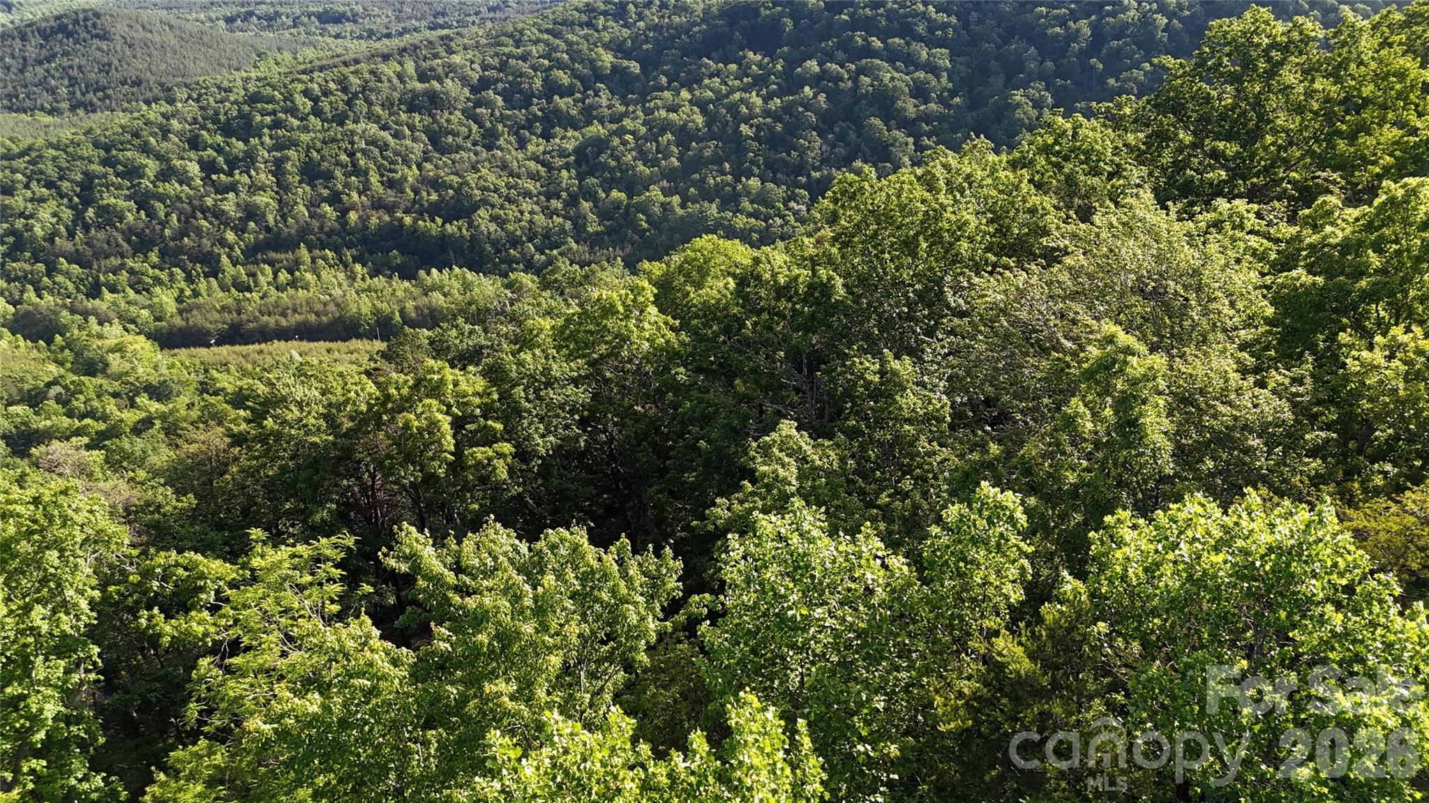 Lot 7 Pinnacle Parkway Union Mills NC 28167