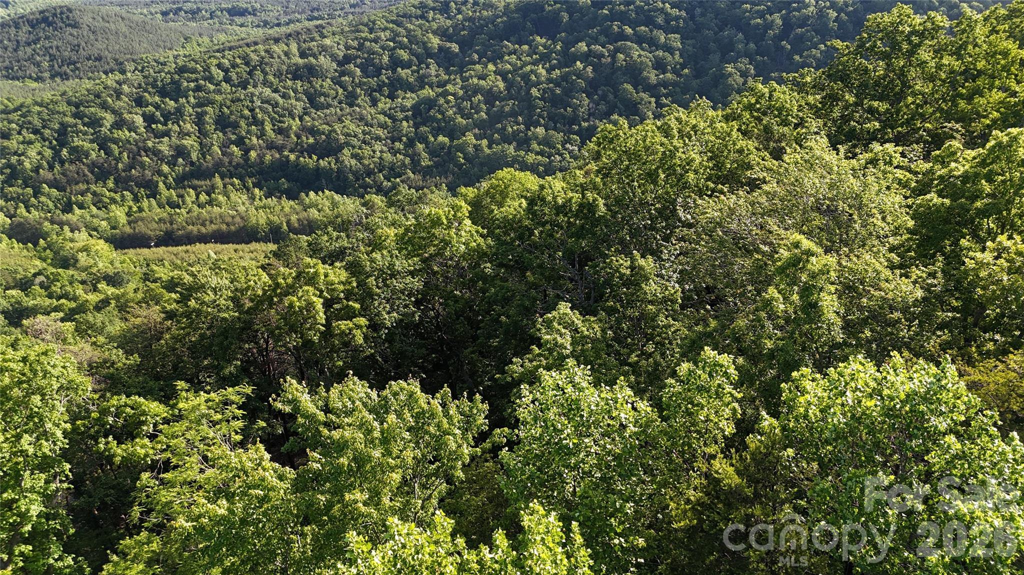 Lot 7 Pinnacle Parkway Union Mills NC 28167