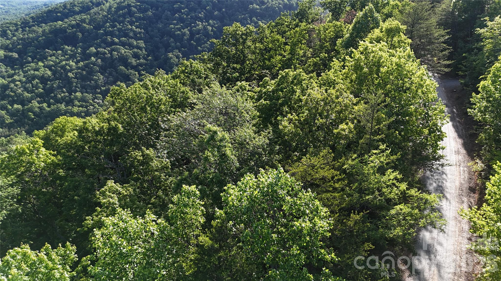 Lot 7 Pinnacle Parkway Union Mills NC 28167