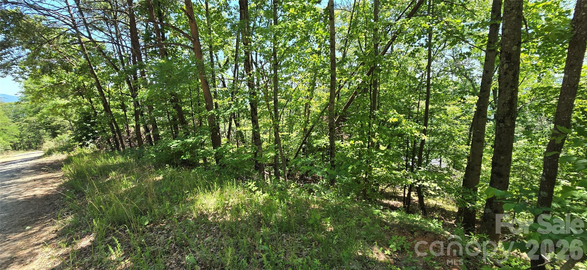 Lot 7 Pinnacle Parkway Union Mills NC 28167