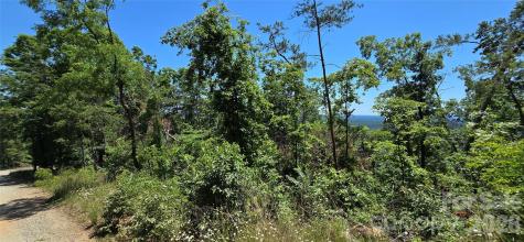 Lot 7 Pinnacle Parkway Union Mills NC 28167
