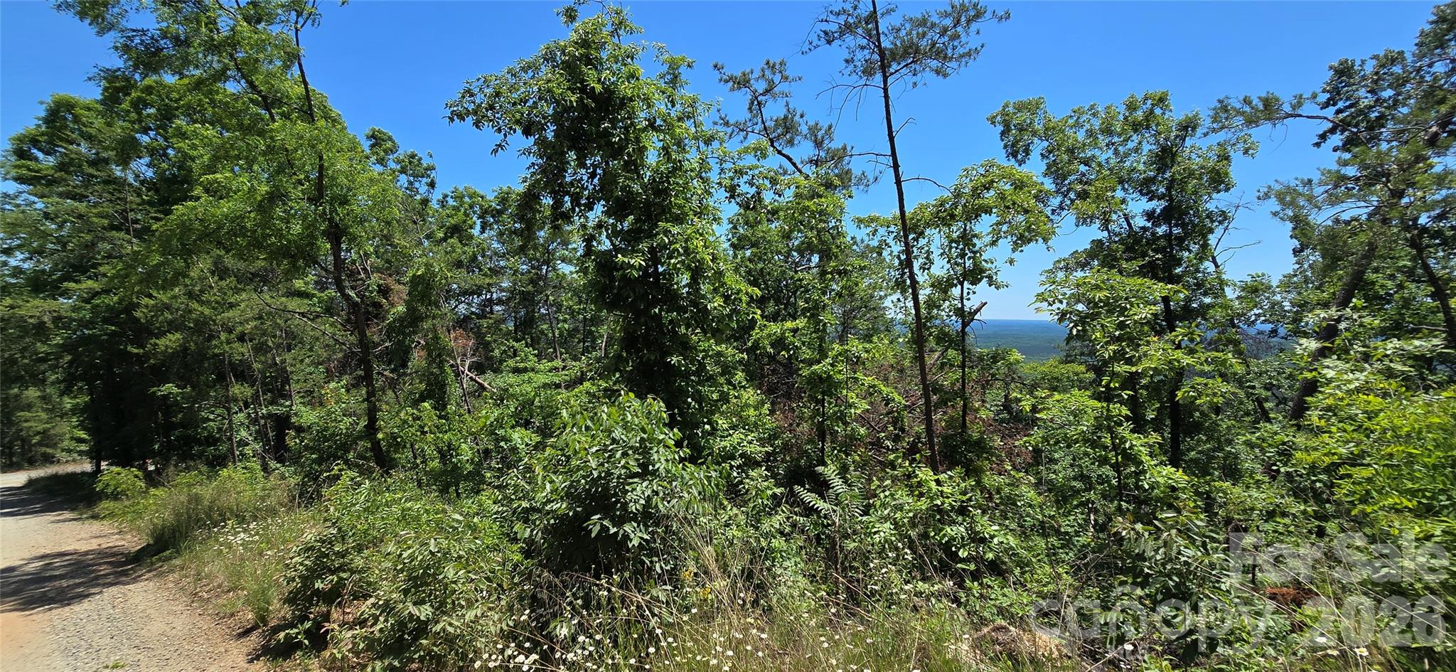 Lot 7 Pinnacle Parkway Union Mills NC 28167