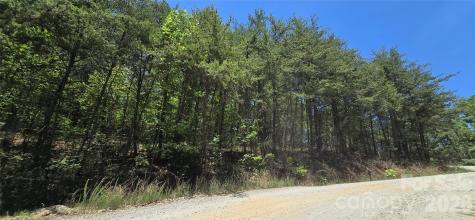 Lot 7 Pinnacle Parkway Union Mills NC 28167