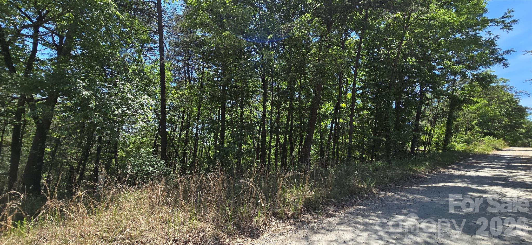 Lot 7 Pinnacle Parkway Union Mills NC 28167