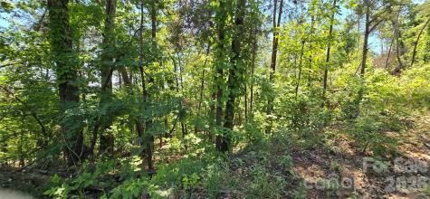 Lot 7 Pinnacle Parkway Union Mills NC 28167