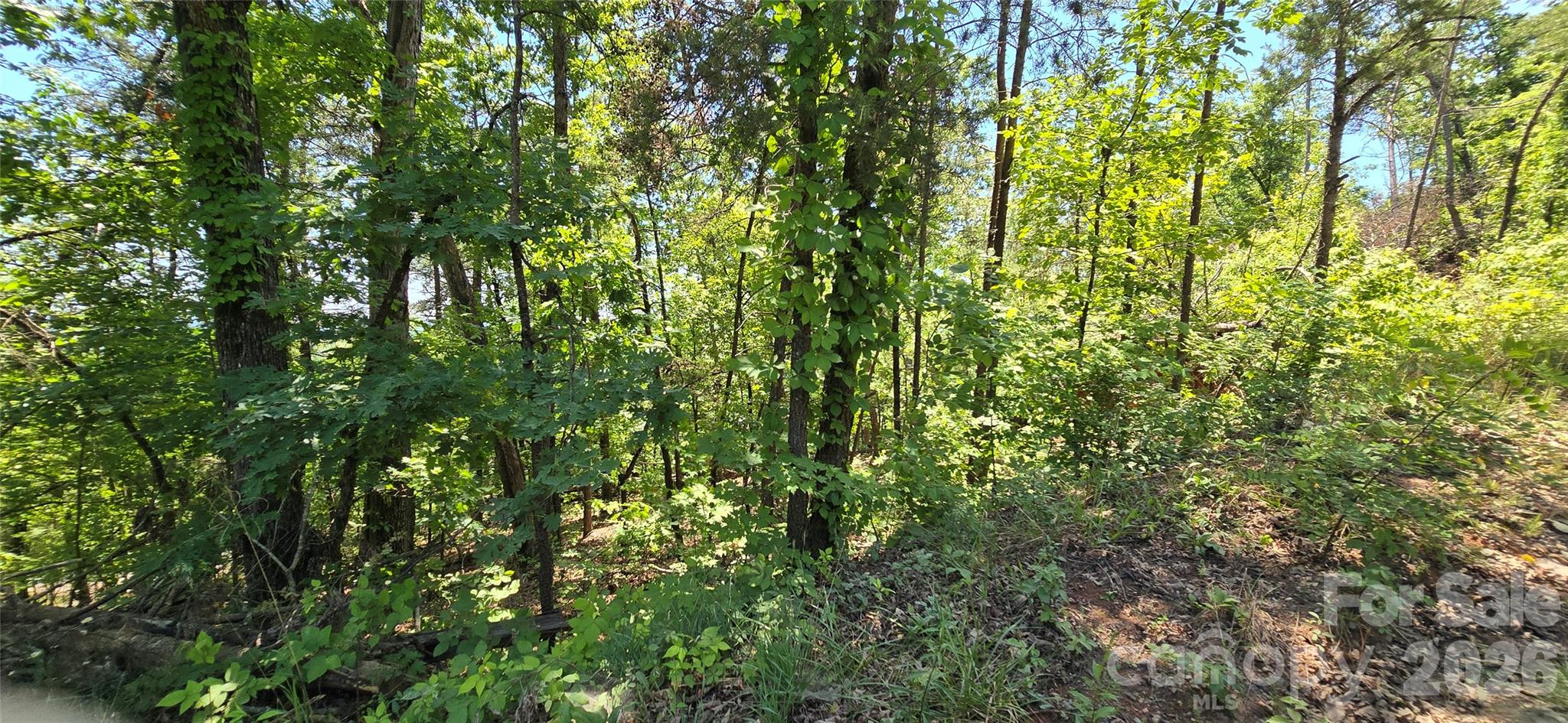 Lot 7 Pinnacle Parkway Union Mills NC 28167