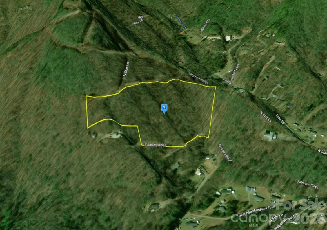 450 Palmetto Ridge Sylva NC 28779