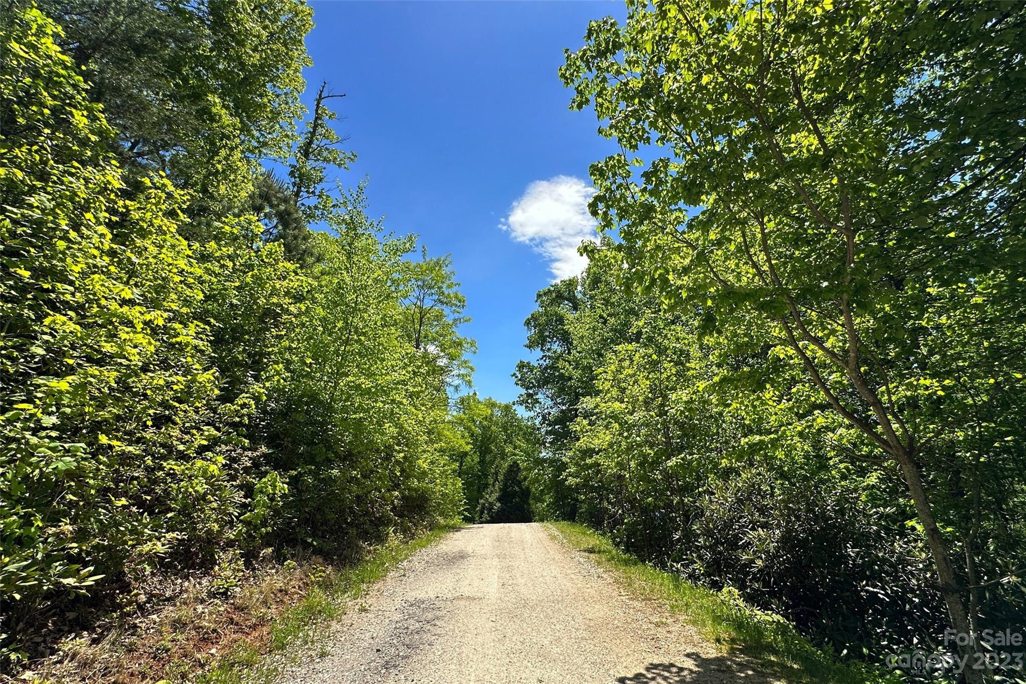 959 Nicey Gap Road Old Fort NC 28762