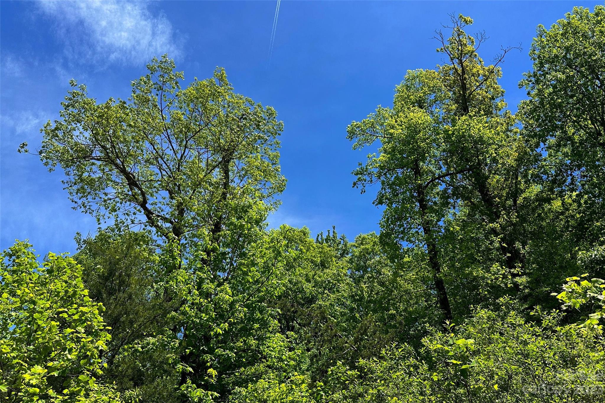 959 Nicey Gap Road Old Fort NC 28762