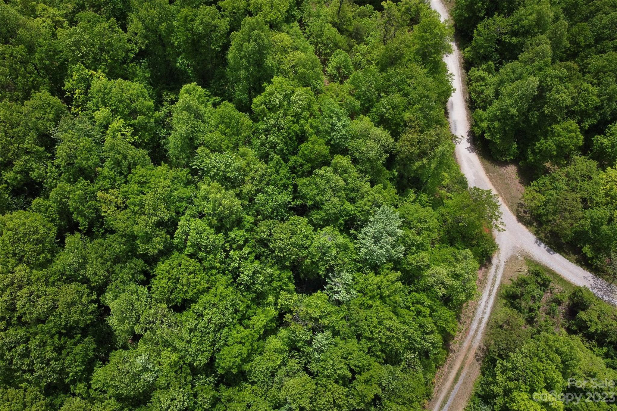 959 Nicey Gap Road Old Fort NC 28762