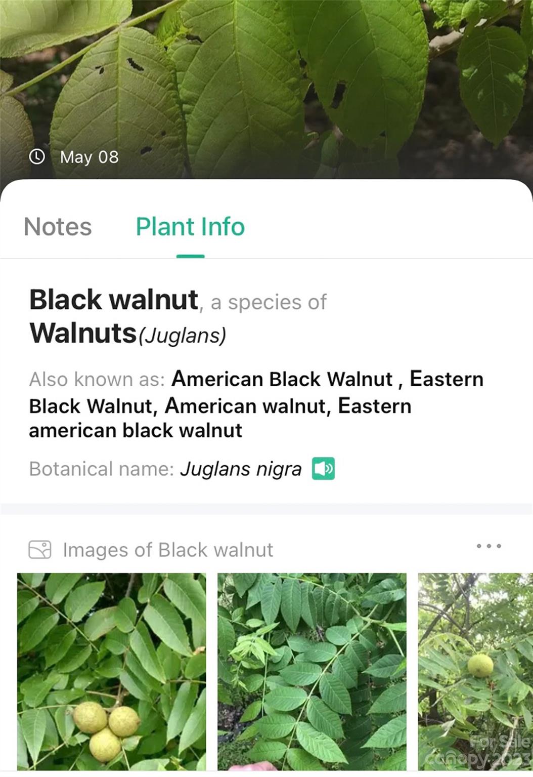 959 Nicey Gap Road Old Fort NC 28762