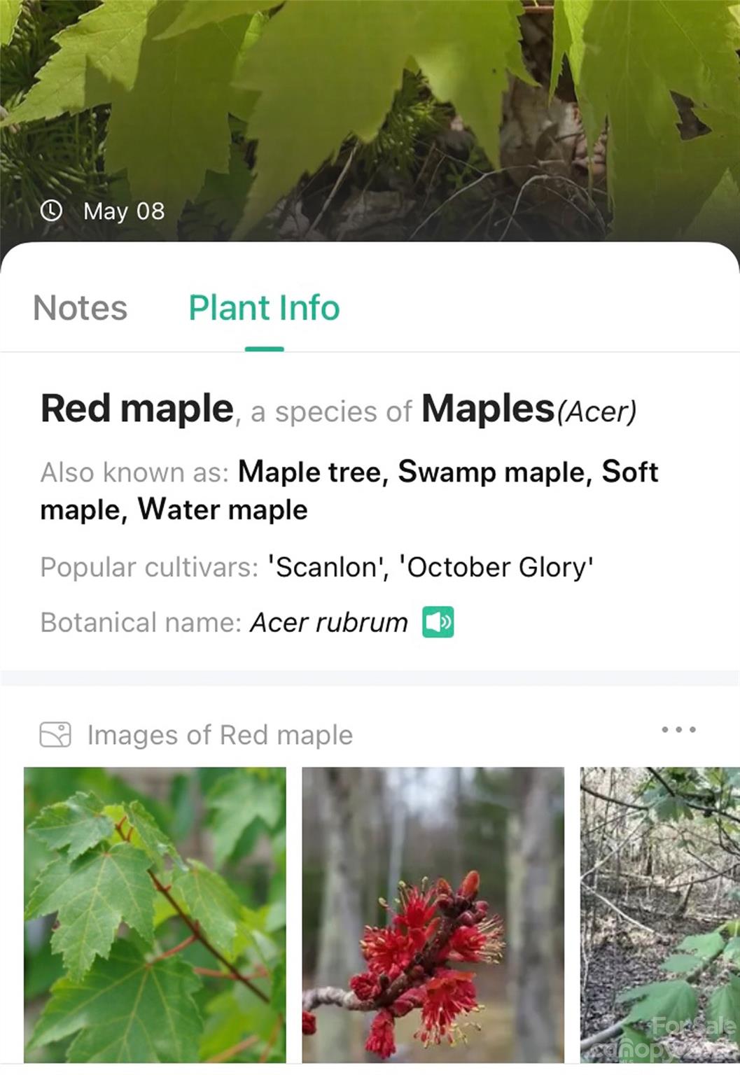 959 Nicey Gap Road Old Fort NC 28762