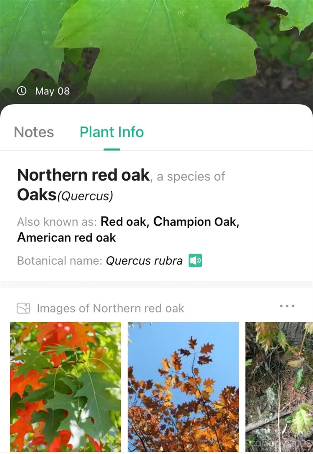 959 Nicey Gap Road Old Fort NC 28762