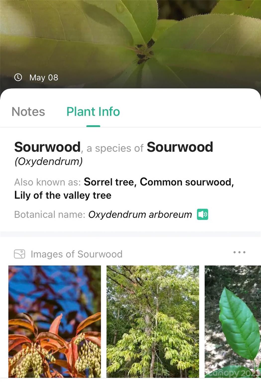 959 Nicey Gap Road Old Fort NC 28762