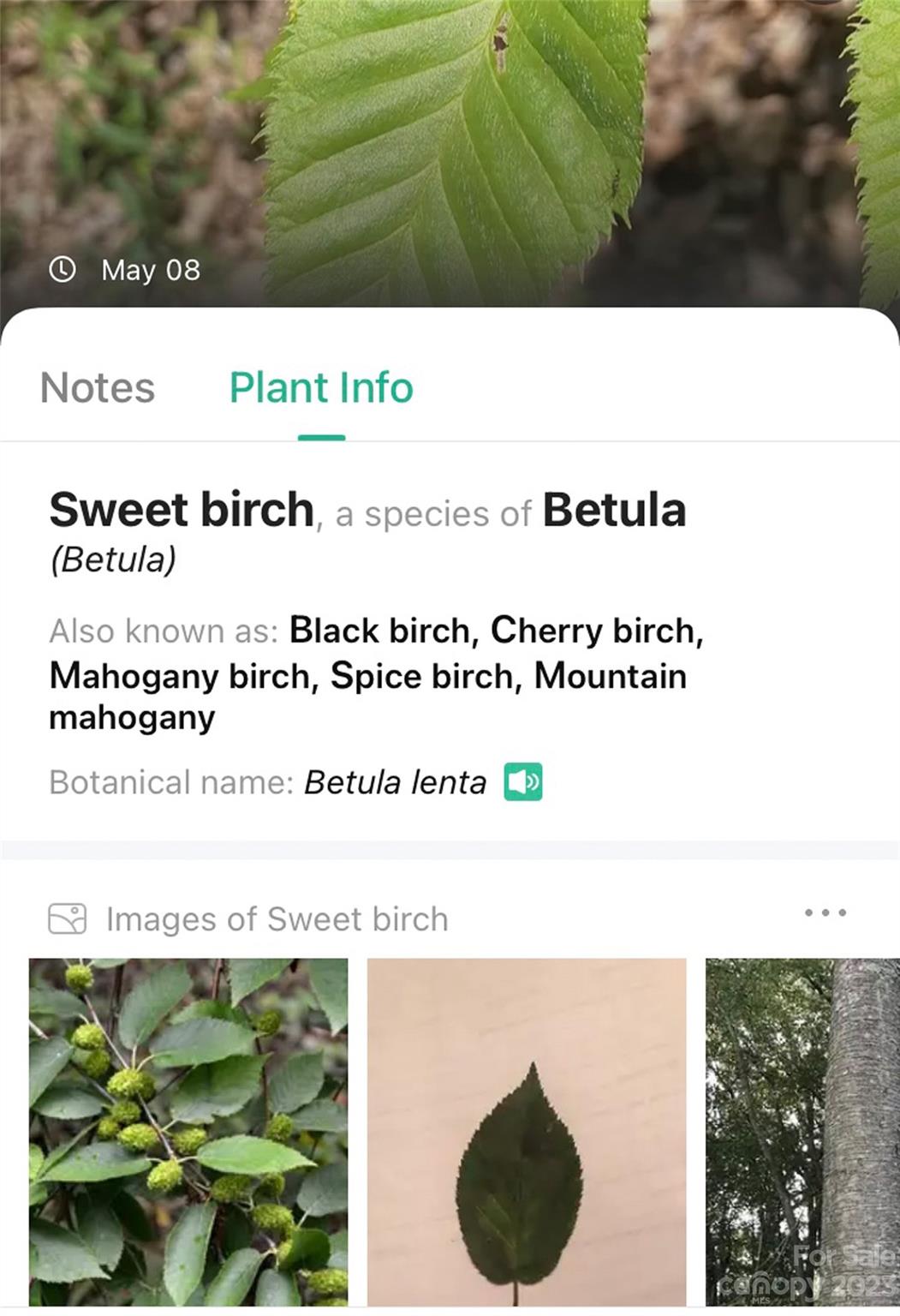 959 Nicey Gap Road Old Fort NC 28762