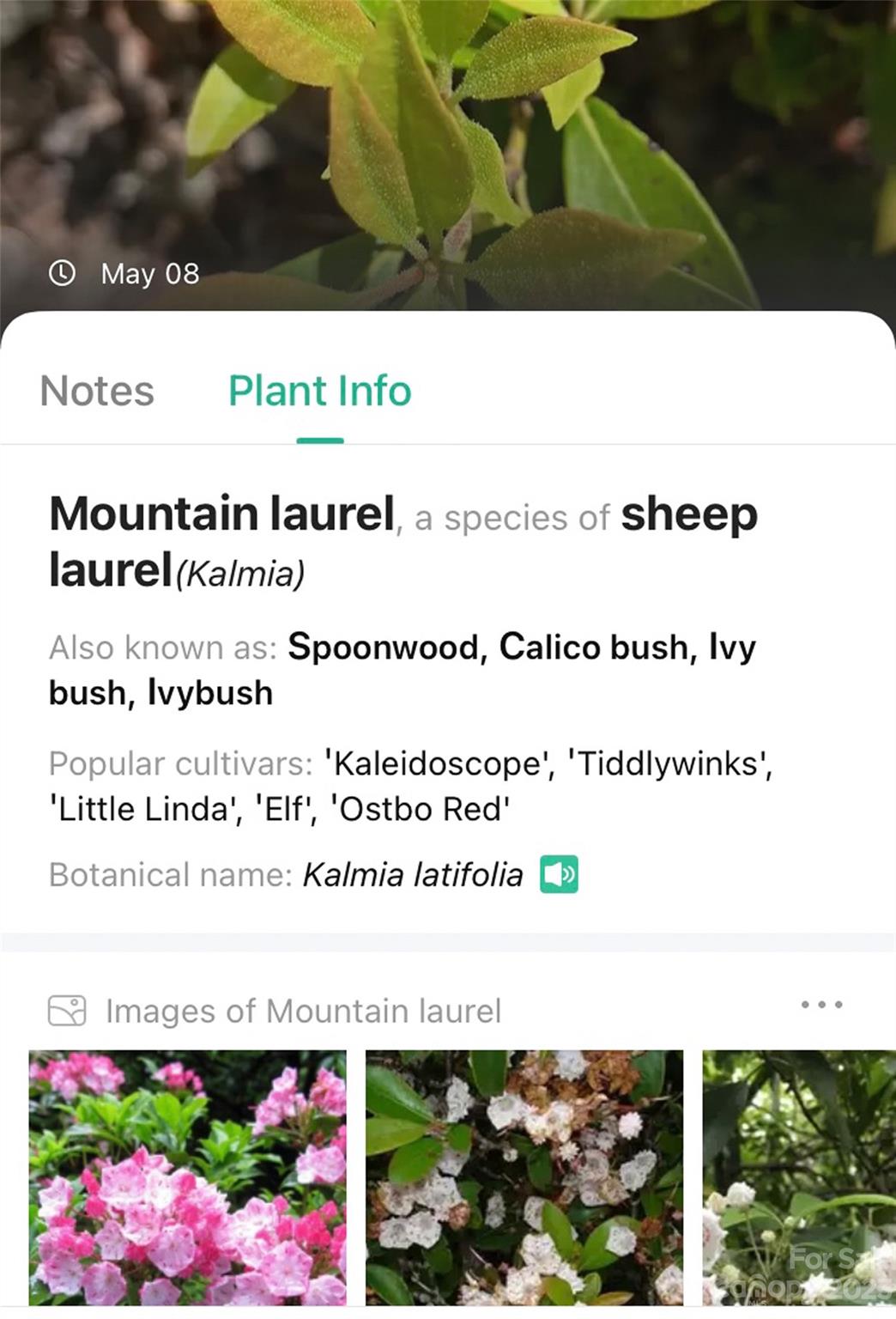 959 Nicey Gap Road Old Fort NC 28762