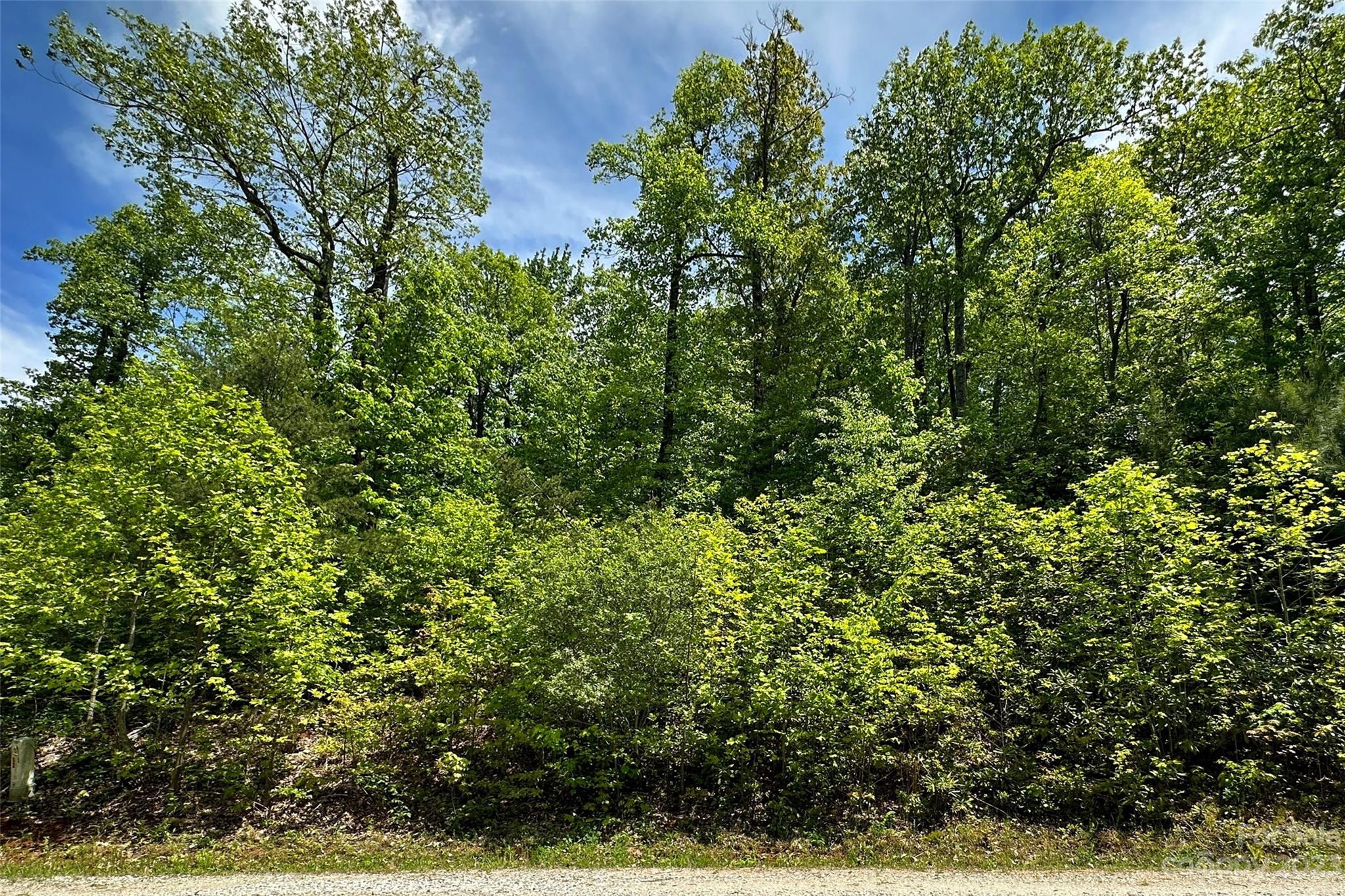 959 Nicey Gap Road Old Fort NC 28762