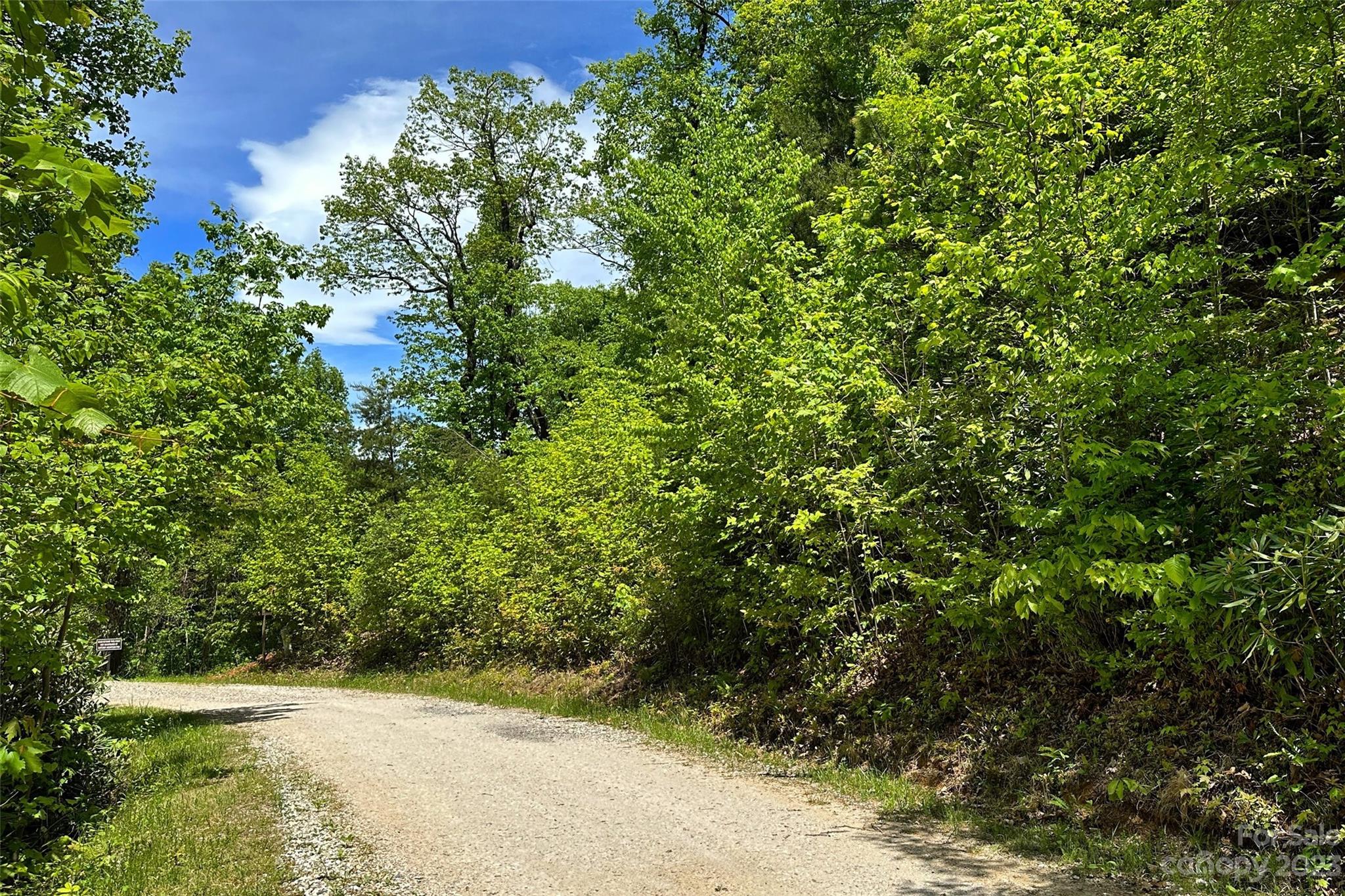 959 Nicey Gap Road Old Fort NC 28762